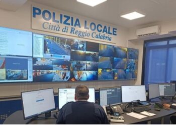 7 persone denunciate nell’arco di 72 ore e oltre trenta sanzioni elevate per abbandono di rifiuti a Reggio Calabria 4 7 persone denunciate nell’arco di 72 ore e oltre trenta sanzioni elevate per abbandono di rifiuti a Reggio Calabria