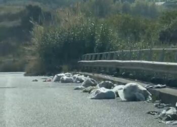 Meno autocelebrazioni, più lavoro vero. Il richiamo di Prospettive Comuni all’amministrazione Romeo