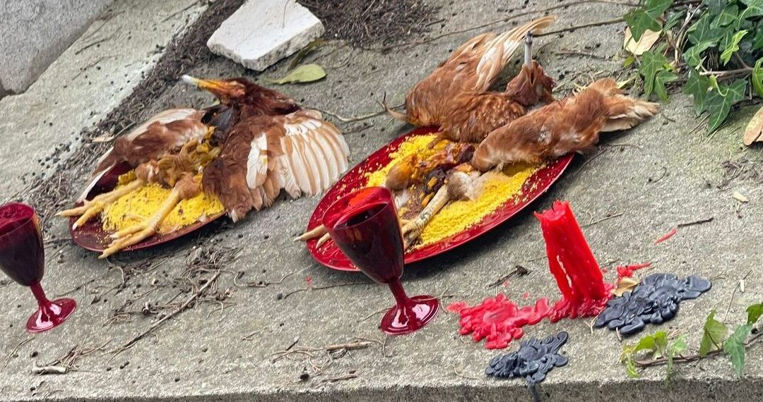 Scene macabre al cimitero di Palizzi Marina