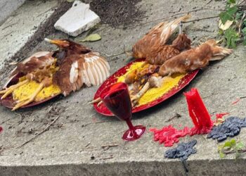 Scene macabre al cimitero di Palizzi Marina