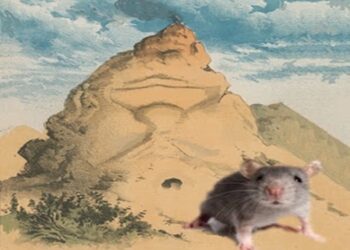 La montagna del rimpasto e il topolino della maggioranza, tra poltrone che cambiano e problemi che restano