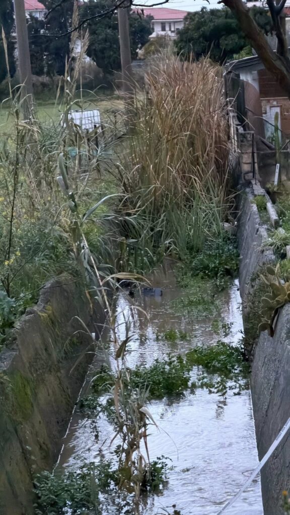 torrente vibo marina 1