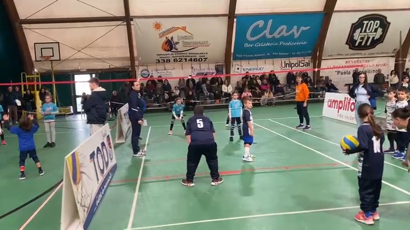 Volley S3, una festa di sport e territorio al Pala Borsellino di Vibo Valentia 1 Volley S3, una festa di sport e territorio al Pala Borsellino di Vibo Valentia