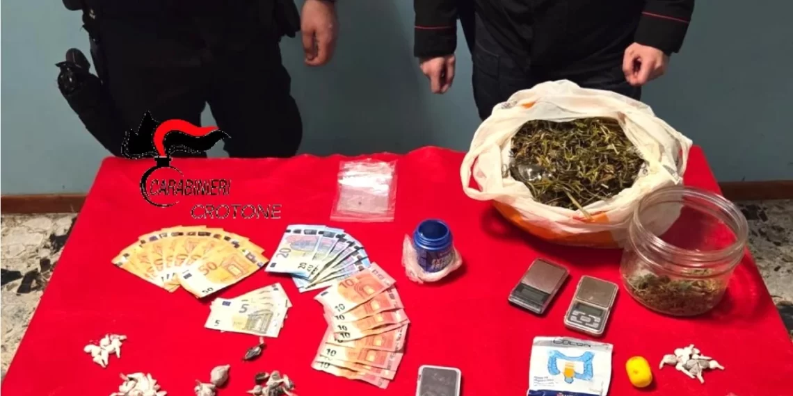 Vasta operazione antidroga dei Carabinieri a Roccabernarda (VIDEO)