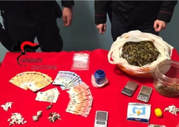 Vasta operazione antidroga dei Carabinieri a Roccabernarda (VIDEO)