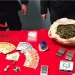 Vasta operazione antidroga dei Carabinieri a Roccabernarda (VIDEO)
