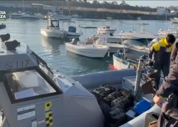 Sequestrati quasi 400 kg di cocaina purissima nel porto di Gioia Tauro (VIDEO) 3 Sequestrati quasi 400 kg di cocaina purissima nel porto di Gioia Tauro (VIDEO)