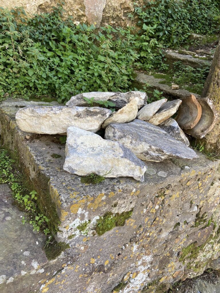 646618427 10234034484218489 7438884655195906239 n