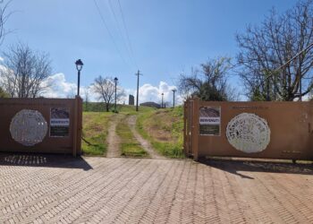 Mileto, successo per la Giornata di Archeo Trekking: cittadini e visitatori alla scoperta delle radici storiche della città (VIDEO) 2 Mileto, successo per la Giornata di Archeo Trekking: cittadini e visitatori alla scoperta delle radici storiche della città (VIDEO)