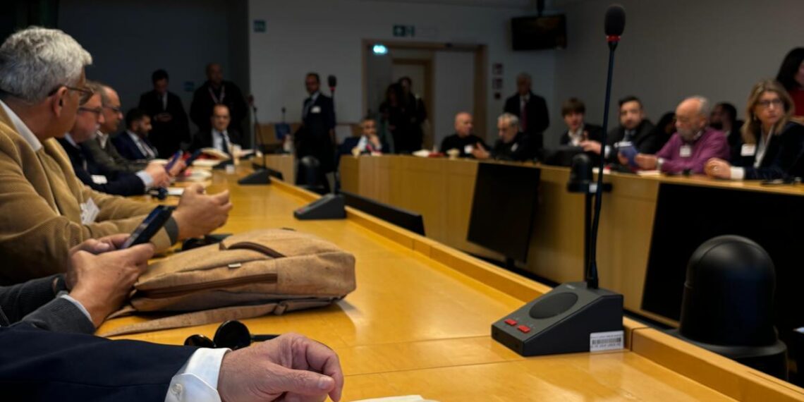 Vibo Valentia, il Sindaco Romeo racconta la sua “missione istituzionale” a Bruxelles