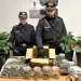 I carabinieri hanno arrestato un uomo a Sellia Marina dopo avergli trovato due serre con cannabis in casa