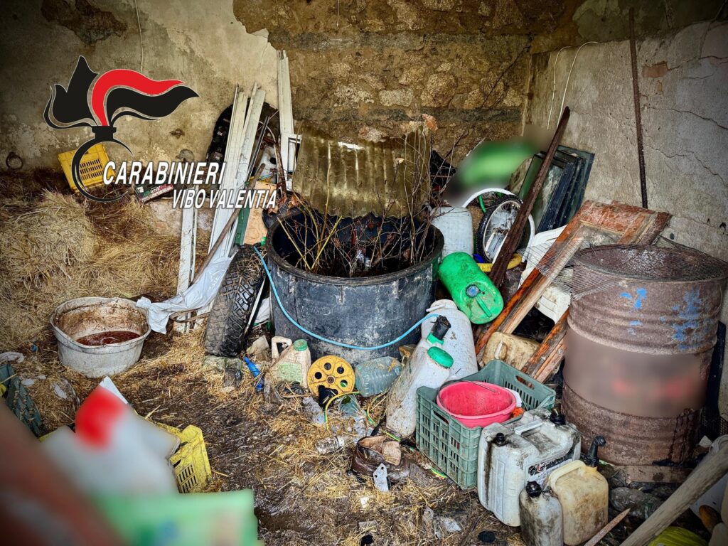 WhatsApp Image 2026 03 05 at 16.24.59