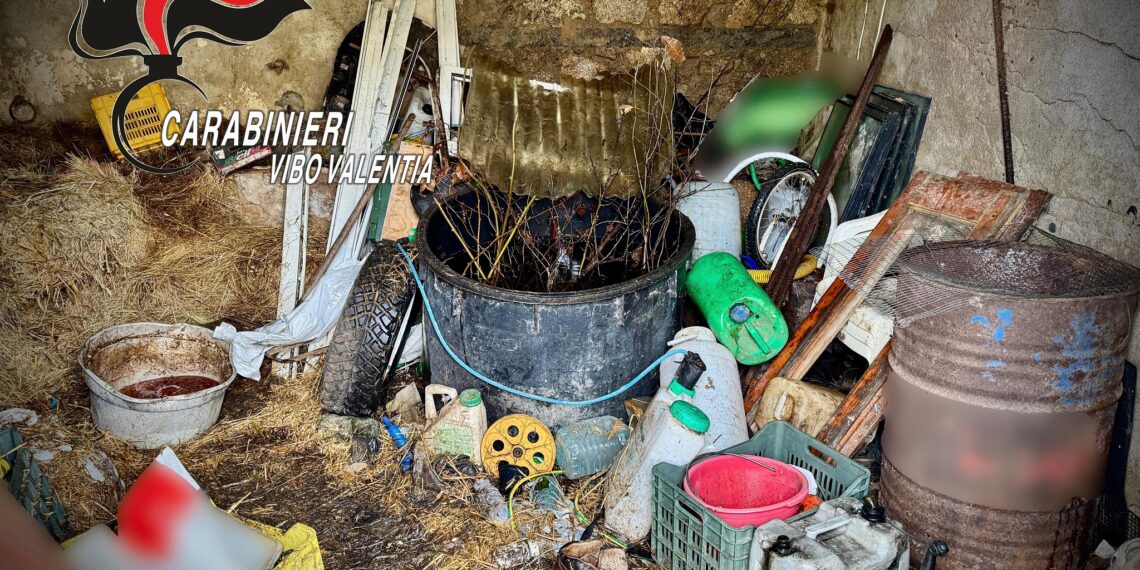 Nardodipace, deposito incontrollato di rifiuti e inosservanza di ordinanza sindacale: un deferimento