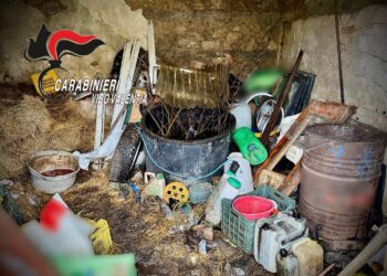 Nardodipace, deposito incontrollato di rifiuti e inosservanza di ordinanza sindacale: un deferimento