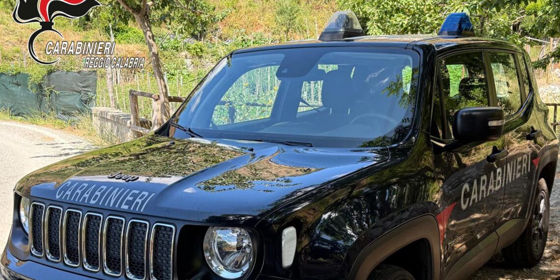 I Carabinieri arrestano i due presunti responsabili del furto di 2 mezzi del comune di San Giorgio Morgeto