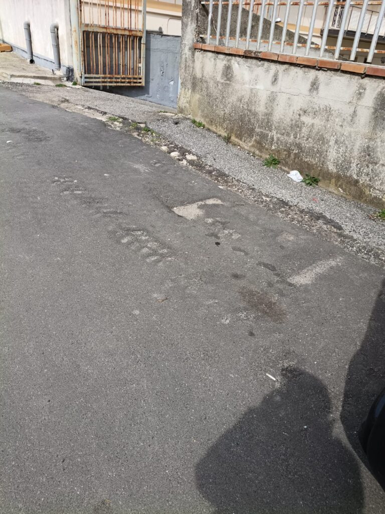 WhatsApp Image 2026 03 07 at 09.11.31 1