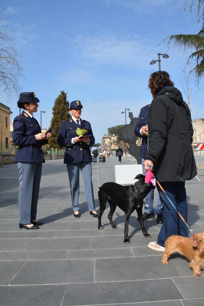 WhatsApp Image 2026 03 09 at 13.14.06