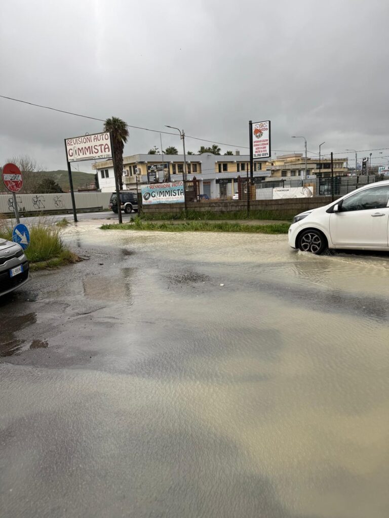 WhatsApp Image 2026 03 18 at 00.43.06