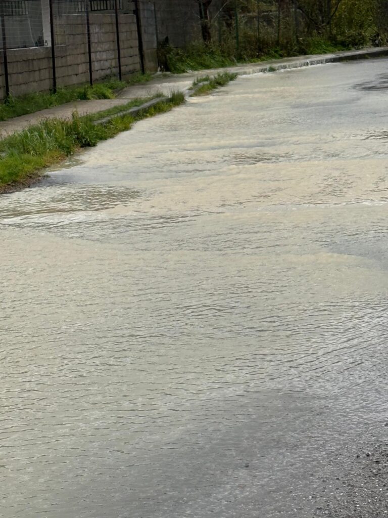 WhatsApp Image 2026 03 18 at 00.44.56