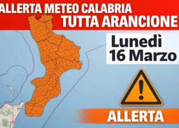 Allerta meteo arancione, scuole chiuse a Vibo Valentia domani, lunedì 16 marzo 6 Allerta meteo arancione, scuole chiuse a Vibo Valentia domani, lunedì 16 marzo