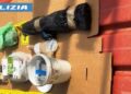 La Polizia scopre un arsenale clandestino e oltre un chilo di cocaina in una campagna a Gioiosa Ionica