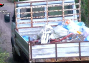 I Carabinieri scoprono una discarica abusiva nella Piana di Gioia Tauro (VIDEO)