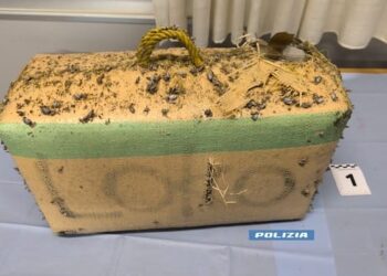 Intensificati i controlli della Polizia: un arresto e ingenti sequestri tra Gizzeria e Catanzaro