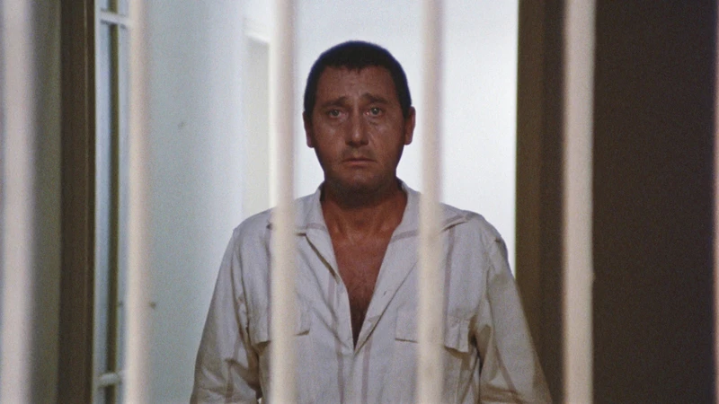 Votare Sì per difendere il giusto processo. Perché separare le carriere rafforza la giustizia 1 Votare Sì per difendere il giusto processo. Perché separare le carriere rafforza la giustizia