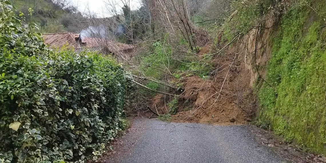 Maltempo nel Vibonese, emergenza senza precedenti: richiesto l’intervento di Anas