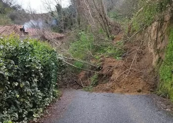 Maltempo nel Vibonese, emergenza senza precedenti: richiesto l’intervento di Anas