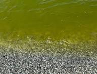 In Prefettura riunione per l’adozione di misure di contenimento all’inquinamento idrico a Nicotera