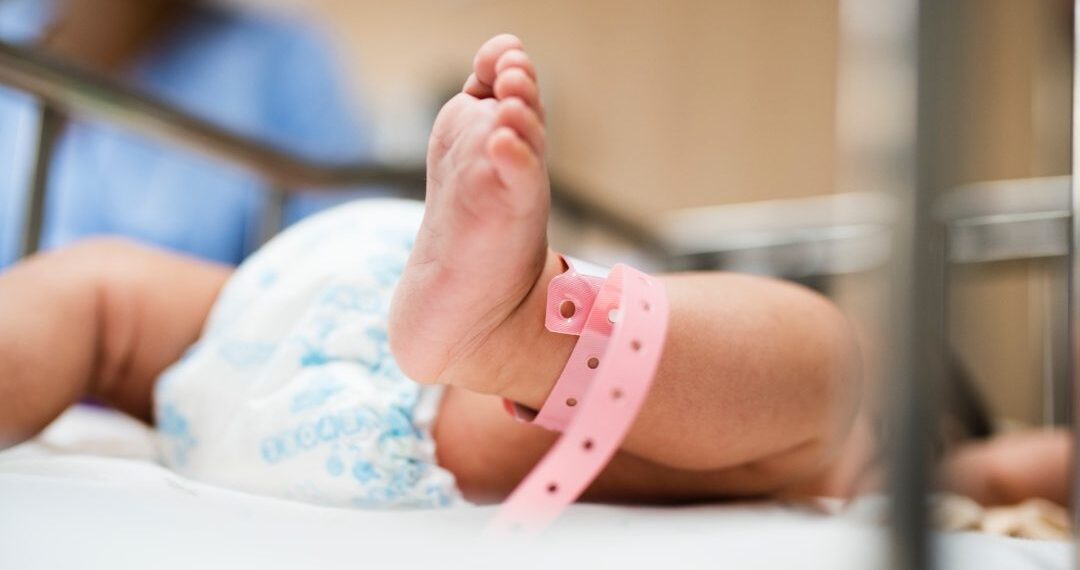 Vibo Valentia, costituito l'Osservatorio Regionale Demografico (ORD) 1 Vibo Valentia, costituito l’Osservatorio Regionale Demografico (ORD)