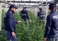 Operazione antidroga “Pullo”, 21 indagati a Lamezia Terme (VIDEO)