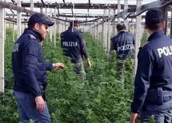 Operazione antidroga “Pullo”, 21 indagati a Lamezia Terme (VIDEO)