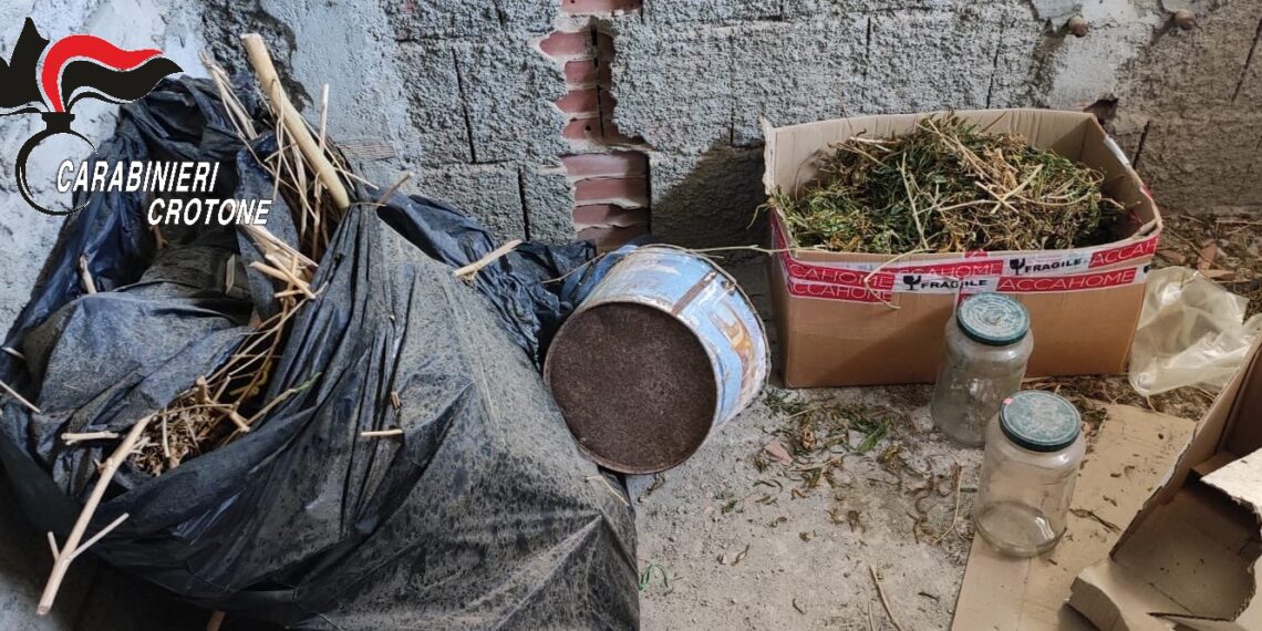 Maxi sequestro di droga dei Carabinieri nel cirotano