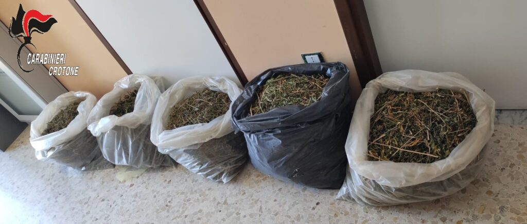 signal 2026 03 16 123248 004