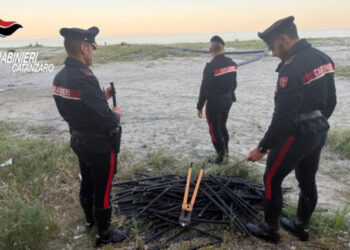 Furto di cavi elettrici scoperto a Roccelletta di Borgia