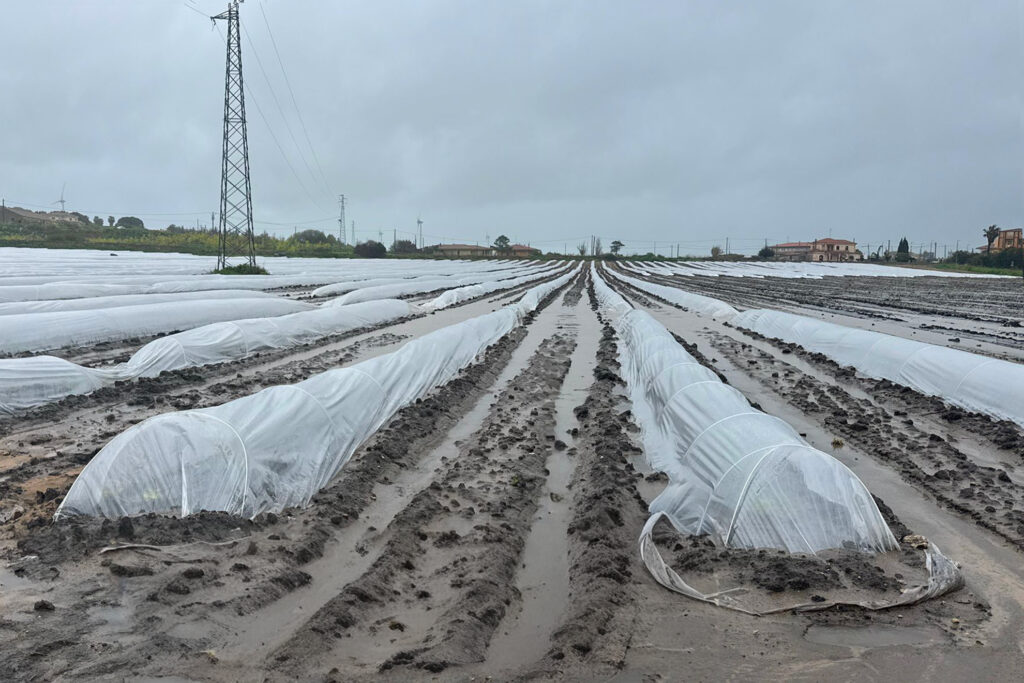 Campi allagati Crotonese