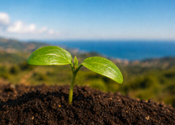 Giornata Mondiale della Terra: Coldiretti, cemento e degrado fanno sparire 1,2 miliardi di euro di cibo all’anno