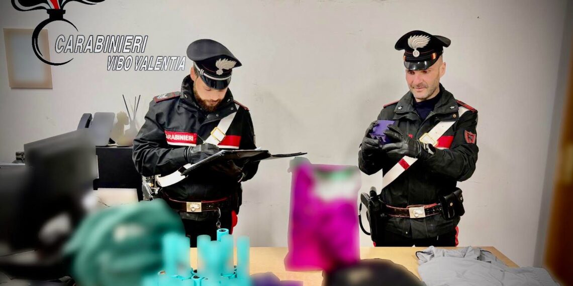 Vibo Valentia, i Carabinieri recuperano refurtiva per oltre due milioni di euro