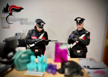 Vibo Valentia, i Carabinieri recuperano refurtiva per oltre due milioni di euro