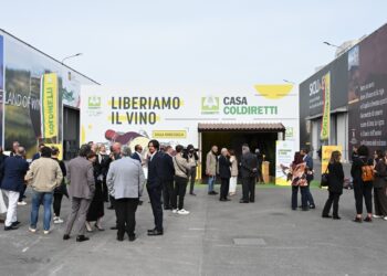 Coldiretti Calabria, Vinitaly 2026: liberare il vino significa dare futuro anche alla viticoltura calabrese