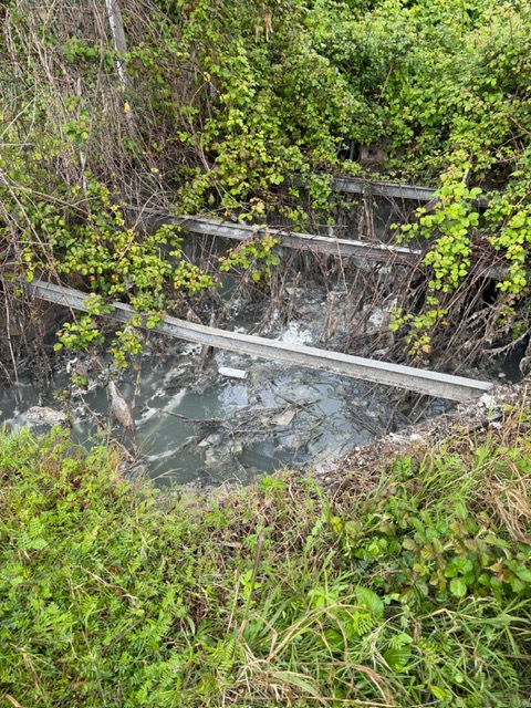 PHOTO 2026 04 03 11 12 56