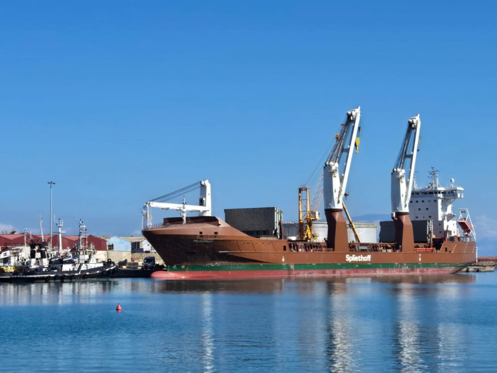 WhatsApp Image 2026 04 08 at 14.39.13 2