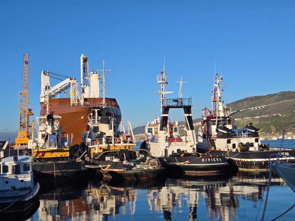 WhatsApp Image 2026 04 08 at 14.39.13 3