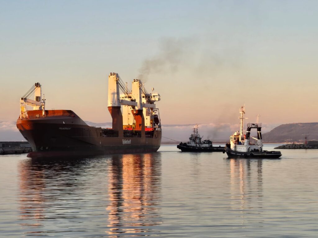 WhatsApp Image 2026 04 08 at 19.25.22 1