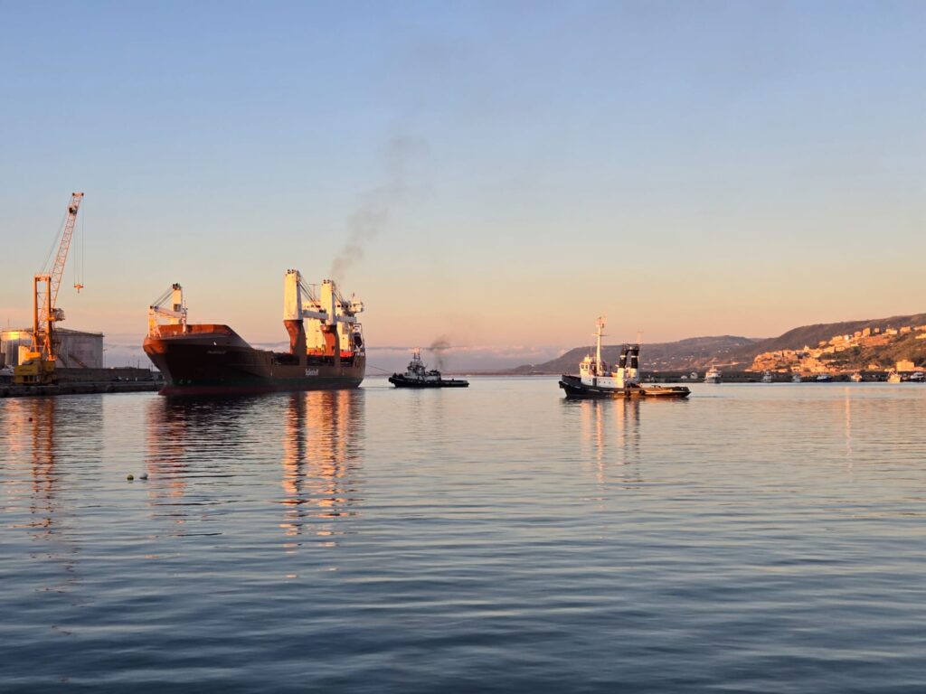 WhatsApp Image 2026 04 08 at 19.25.22