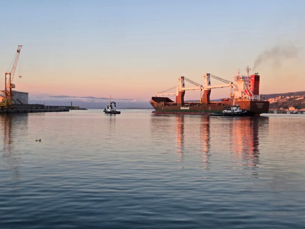 WhatsApp Image 2026 04 08 at 19.25.22 2