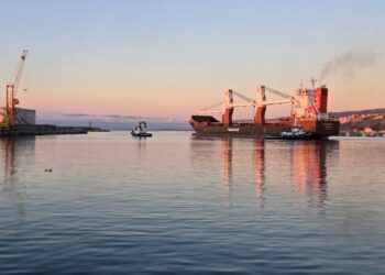 Il Porto di Vibo Marina, asset su cui investire per sostenere la crescita economica (VIDEO)