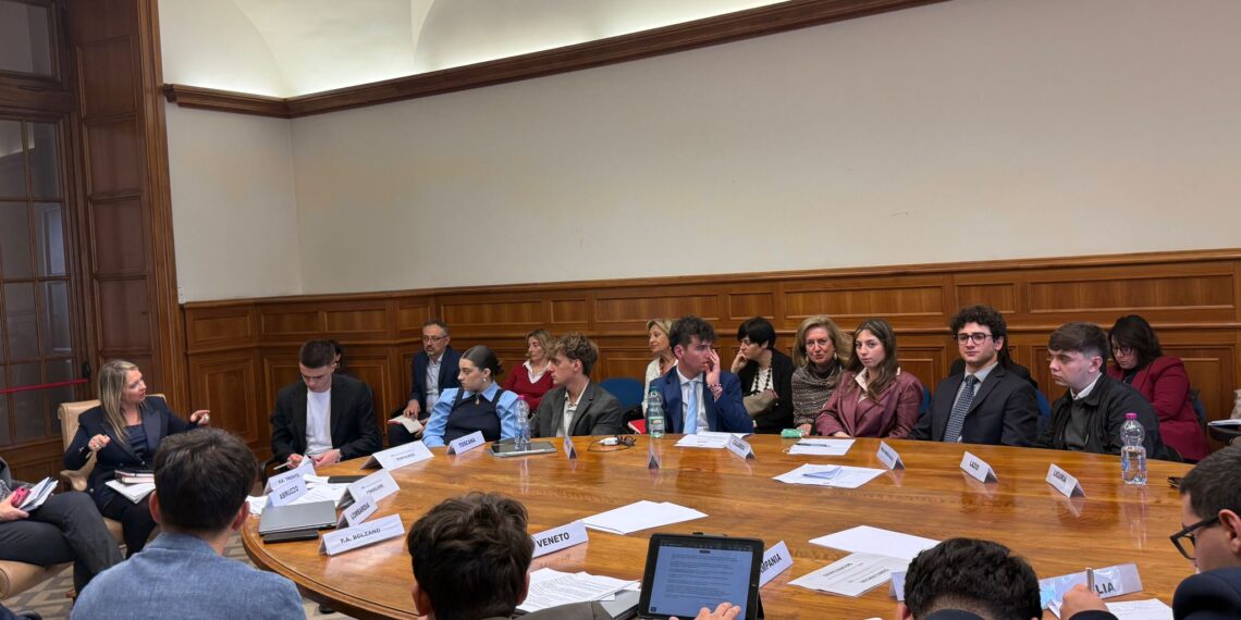 Avviato il processo d’internazionalizzazione delle Consulte studentesche 1 Avviato il processo d’internazionalizzazione delle Consulte studentesche